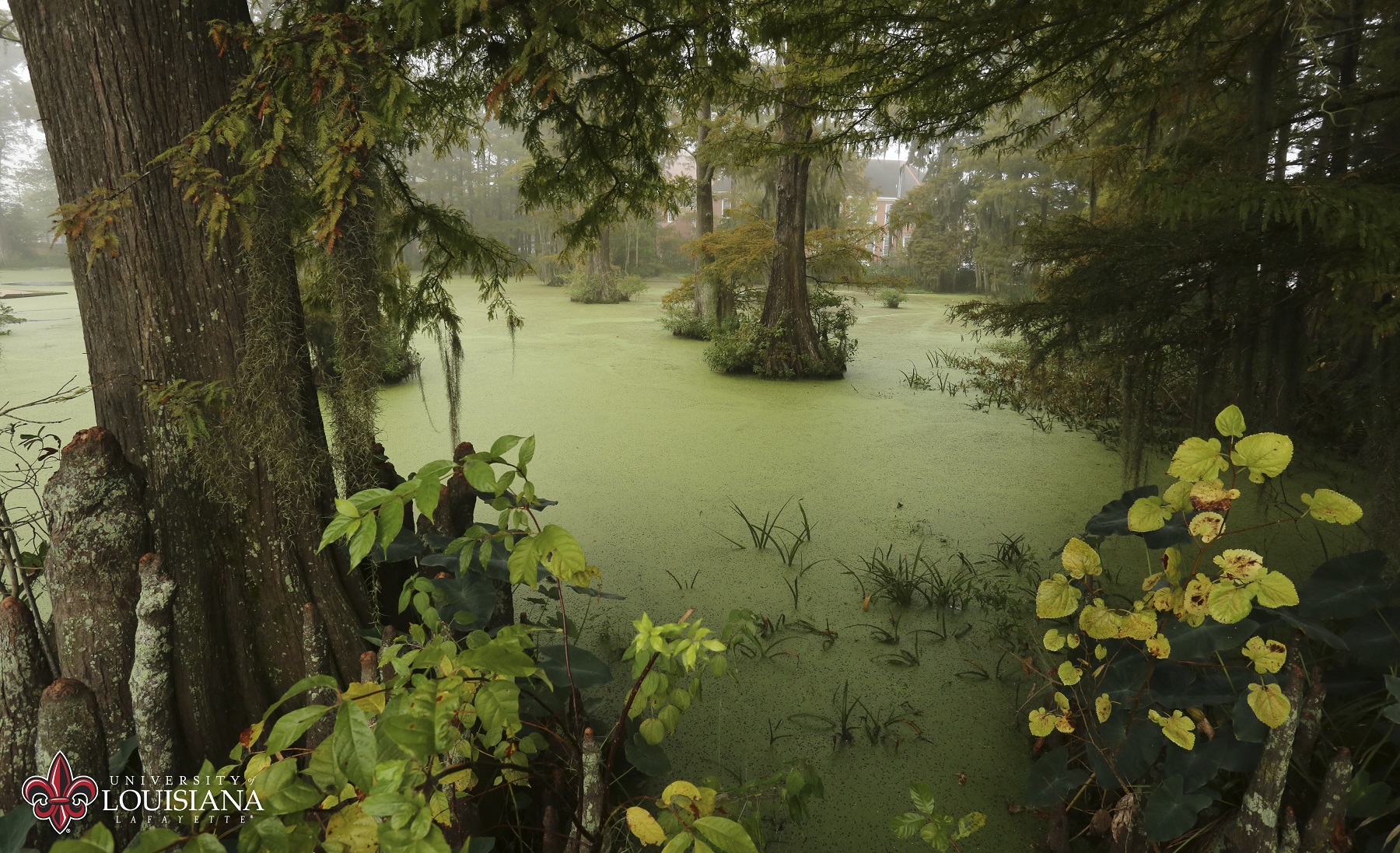 UL Lafayette Cypress Lake